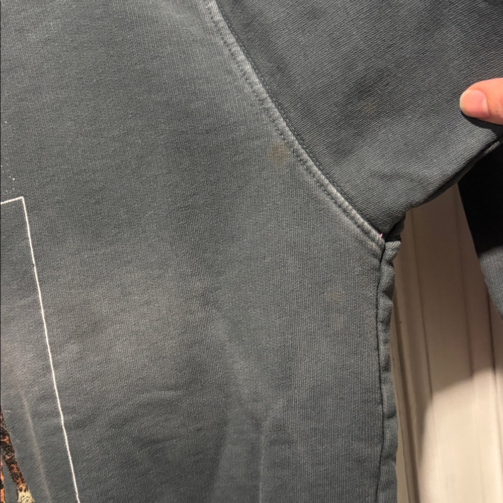 ANINE BING rare wild cat crewneck sweatshirt - Picture 6 of 9